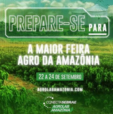 AGROLAB - Artesãos de Rondônia participam do maior evento virtual da Amazônia - News Rondônia
