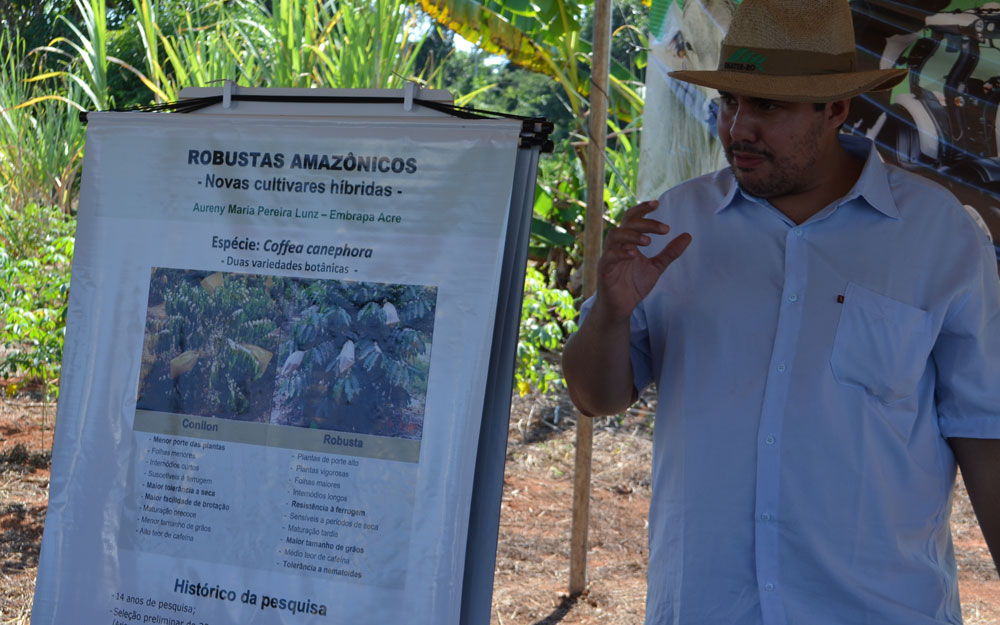 AGRICULTORES DE EXTREMA BUSCAM EMATER-RO PARA ORIENTAR O CULTIVO DE CAFÉ CLONAL - News Rondônia