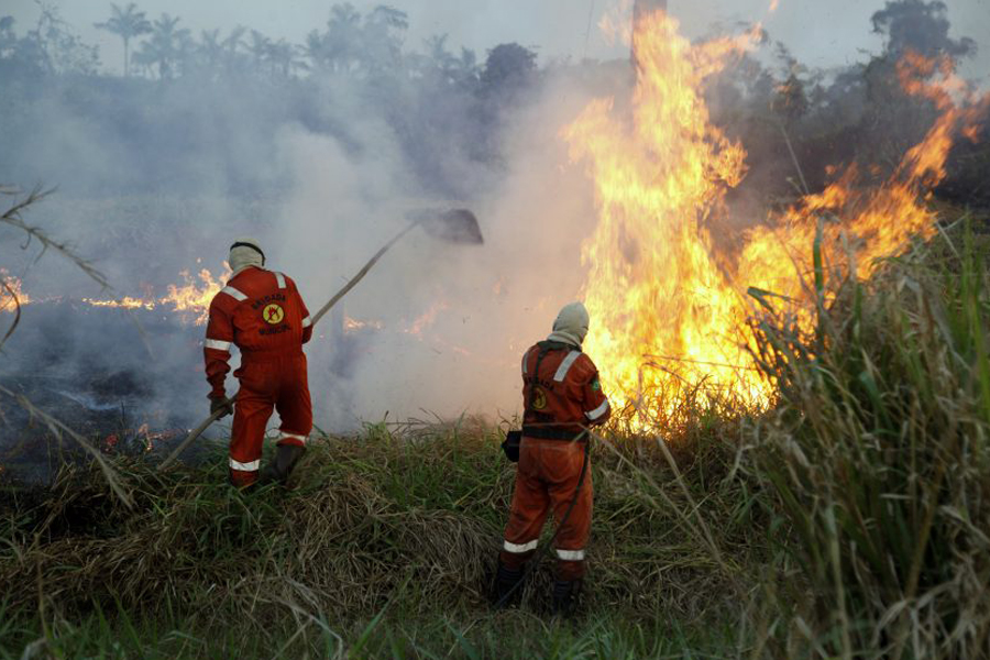 Operação 'Verde Rondônia' desenvolve ações no combate a incêndios florestais - News Rondônia