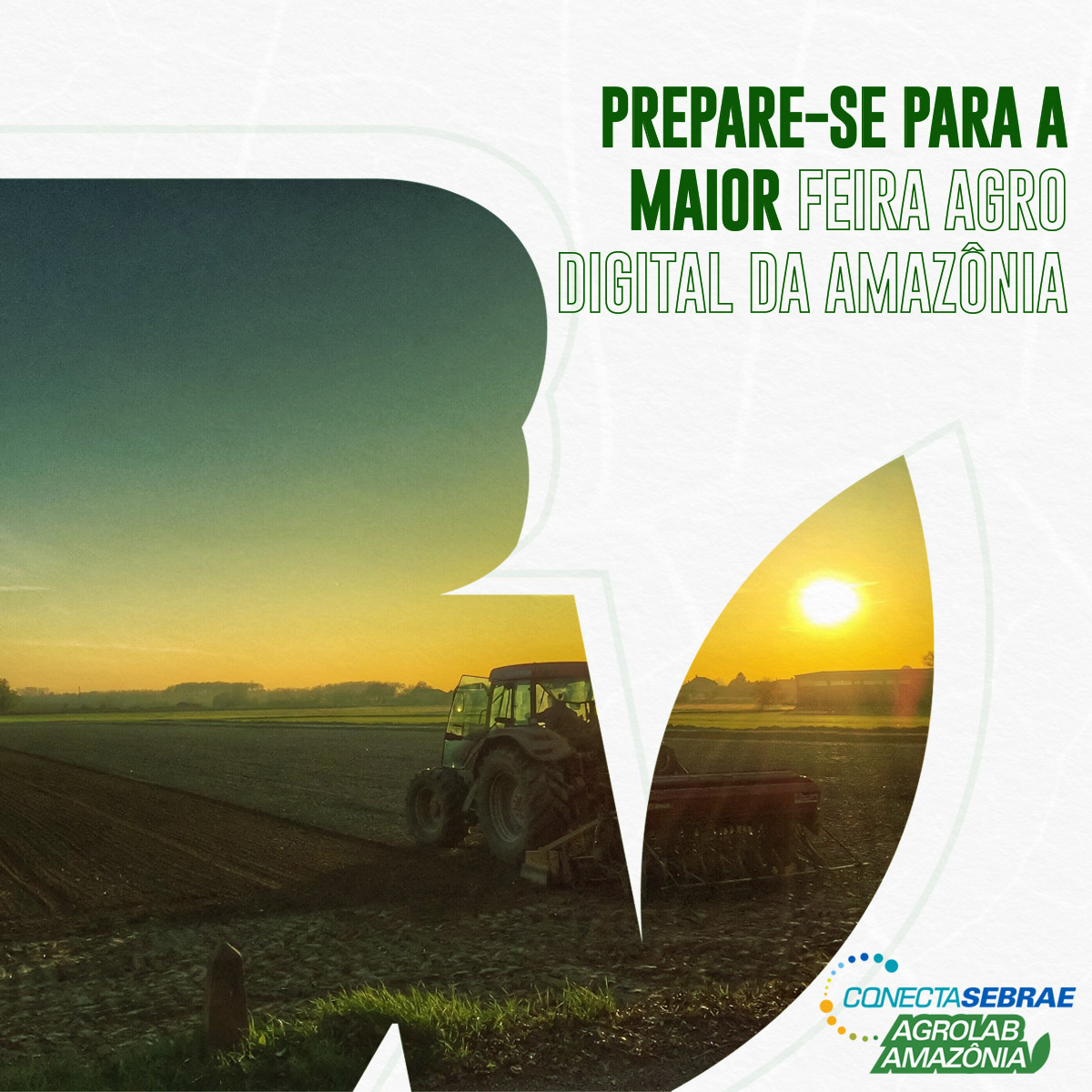 FEIRA DIGITAL: Governo do Amapá deve participar de evento on line do agronegócio - News Rondônia