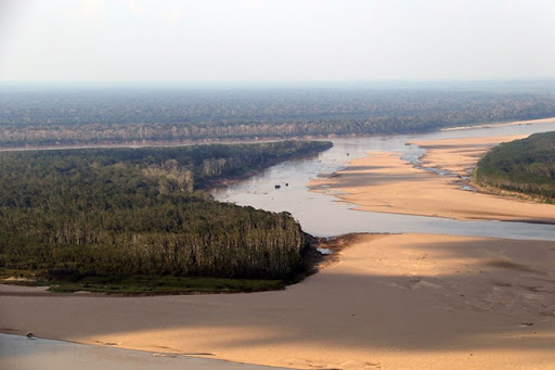 Lenha na fogueira: Dia da Amazônia - News Rondônia