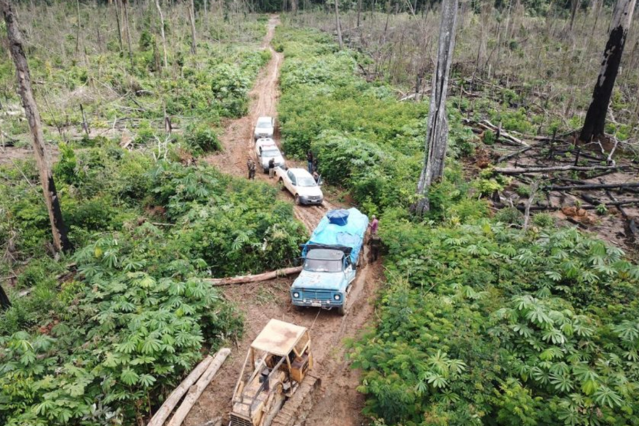 Governo de Rondônia destaca auditoria para consolidar gestão florestal do Estado - News Rondônia