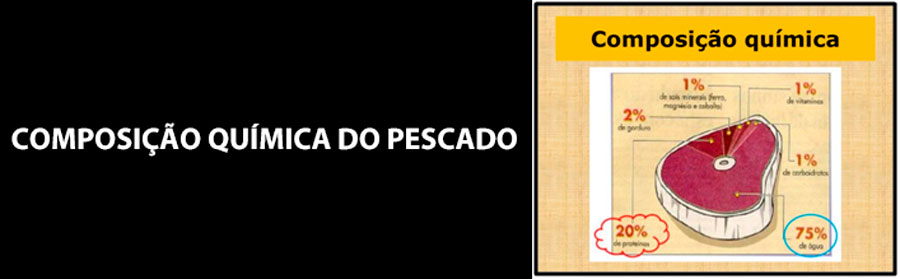 PESCADO NA MERENDA ESCOLAR: SAÚDE E INCLUSÃO SOCIAL - News Rondônia
