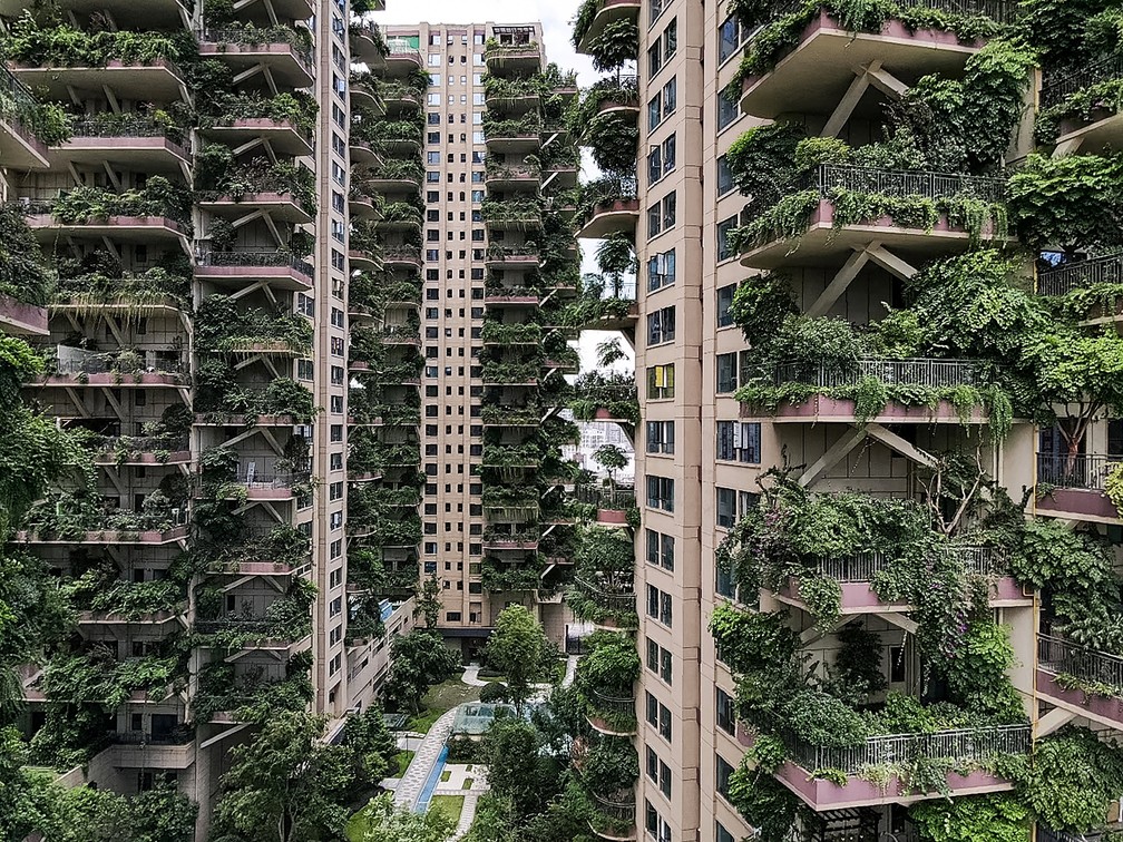 Plantas 'invadem' apartamentos de prédios residenciais na China - News Rondônia