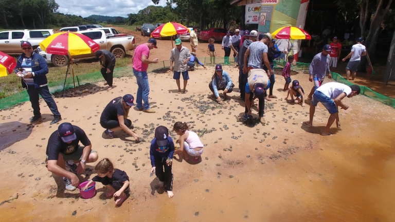 INICIATIVA FAZ SOLTURA DE QUELÔNIOS NO GUAPORÉ - VÍDEO - News Rondônia
