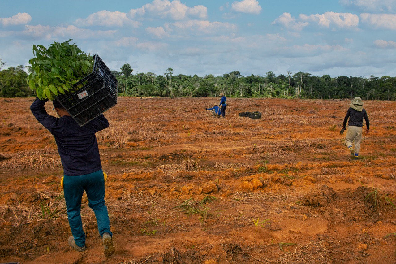 Preservar a qualidade do solo é garantir a sobrevivência das futuras gerações - News Rondônia