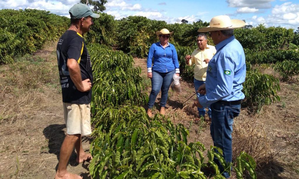 AGRICULTURA FAMILIAR: Assistência Técnica e Extensão Rural debate dificuldades e conquistas na atenção ao produtor rural - News Rondônia