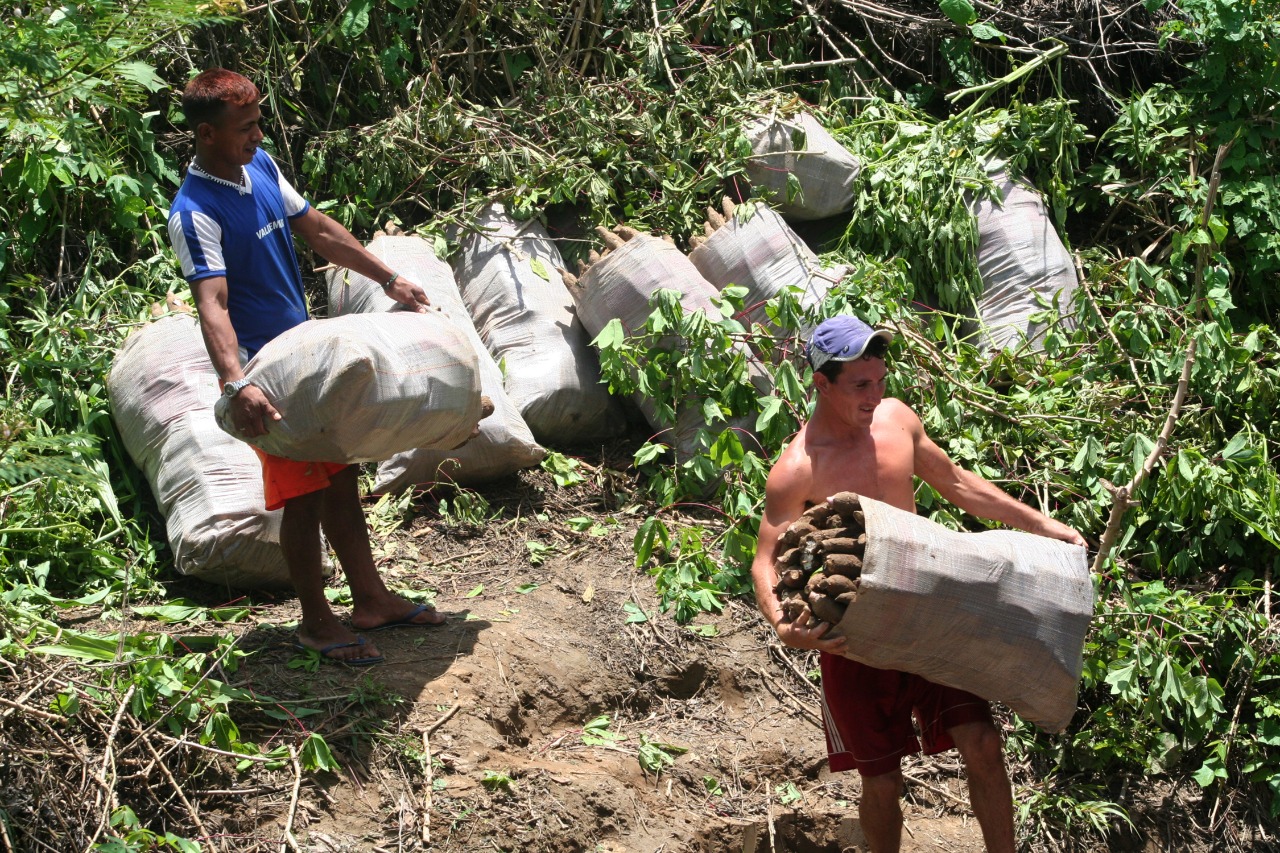 Prefeitura parabeniza agricultores pelo seu dia e comemora resultados - News Rondônia