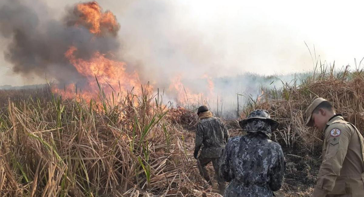 Guardiões dos Biomas: Força Nacional reforça segurança entre Amazonas e Rondônia - News Rondônia