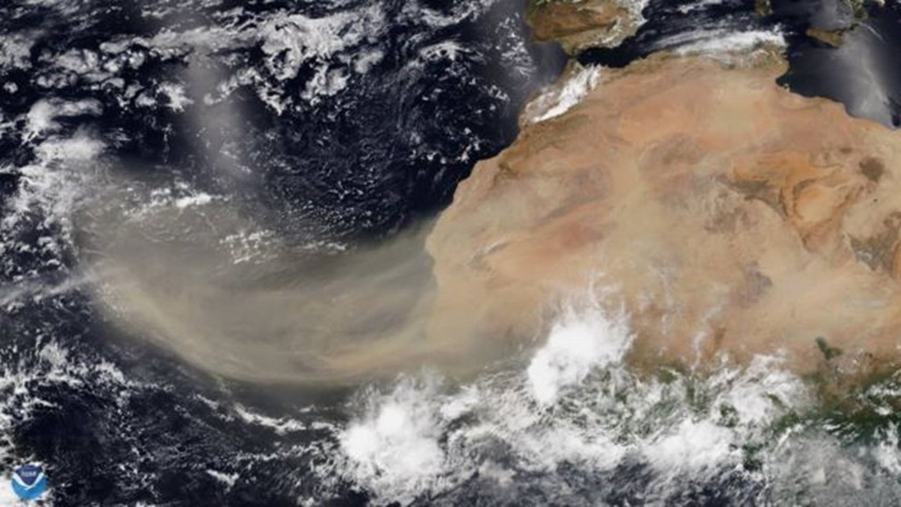 Quais os riscos à saúde gerados pelo nuvem de poeira Godzilla, fenômeno que chega às Américas - News Rondônia