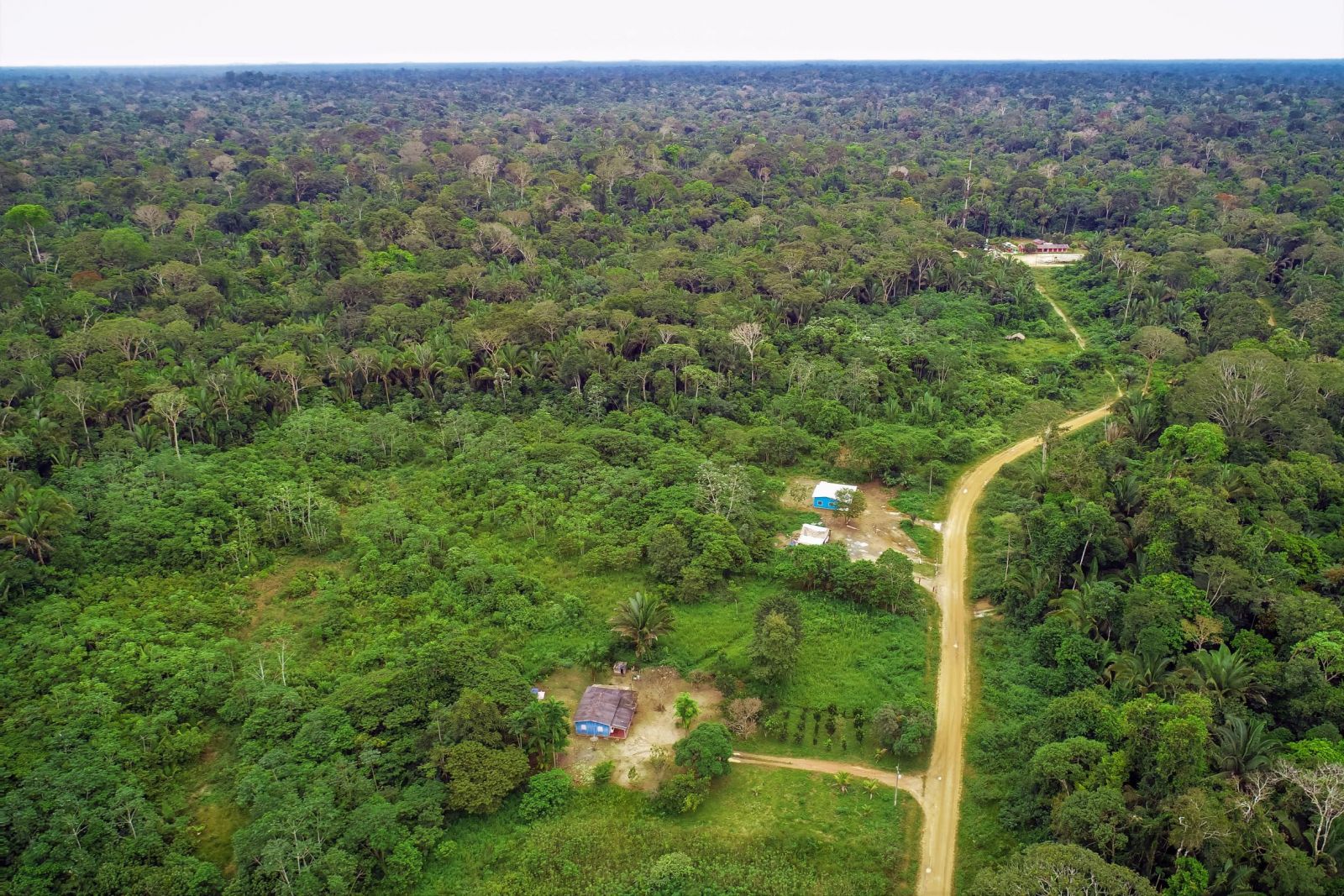Rioterra e Sedam lançam parceria para recuperação de 270 hectares de área degradada em unidade de conservação - News Rondônia