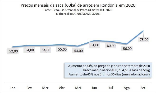Produção de arroz em Rondônia alcança 139 mil toneladas na safra 2019/20 - News Rondônia