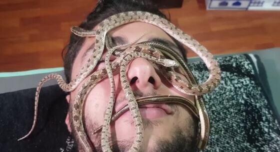 Você teria coragem? Massagem com cobras é a estranha tendência de saúde do momento - News Rondônia