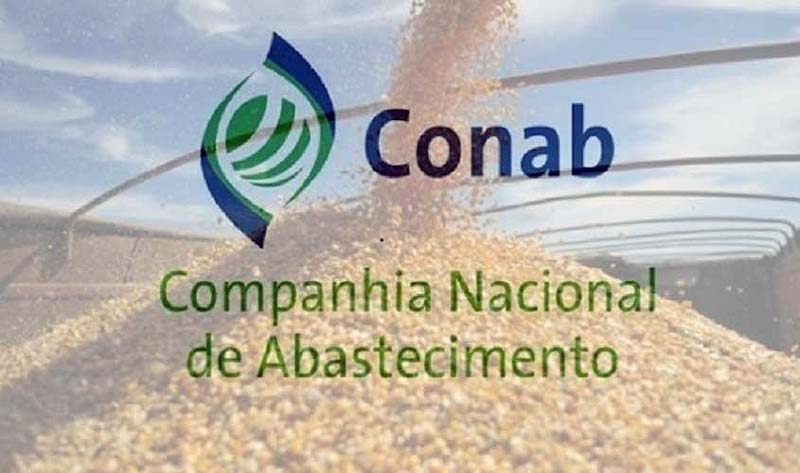 CONAB ALERTA PRODUTORES SOBRE PLANEJAMENTO COM PREÇOS MÍNIMOS QUE COMEÇAM A VIGORAR EM JULHO - News Rondônia