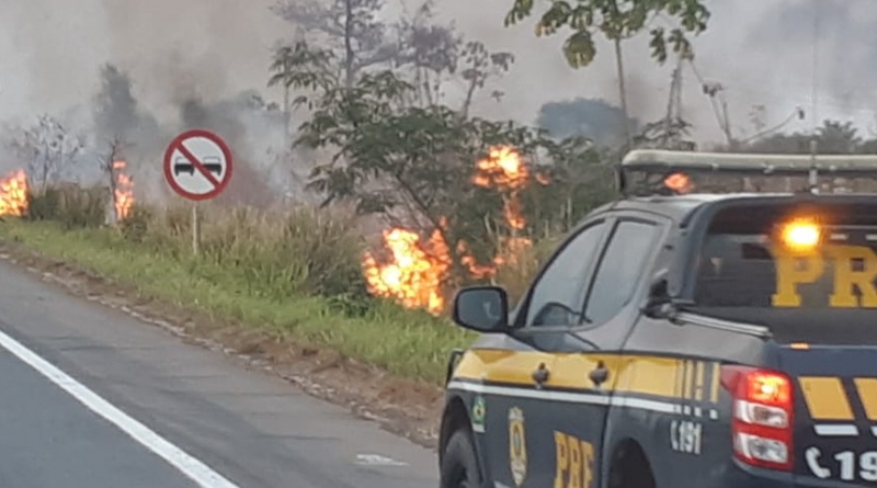 PRF detém homem que causava incêndio em vegetação - News Rondônia