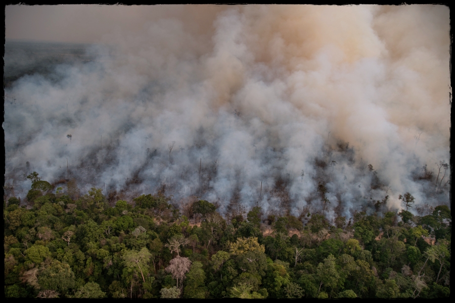 Pesquisa aponta que fogo chegou a todas as terras indígenas com povos isolados - News Rondônia