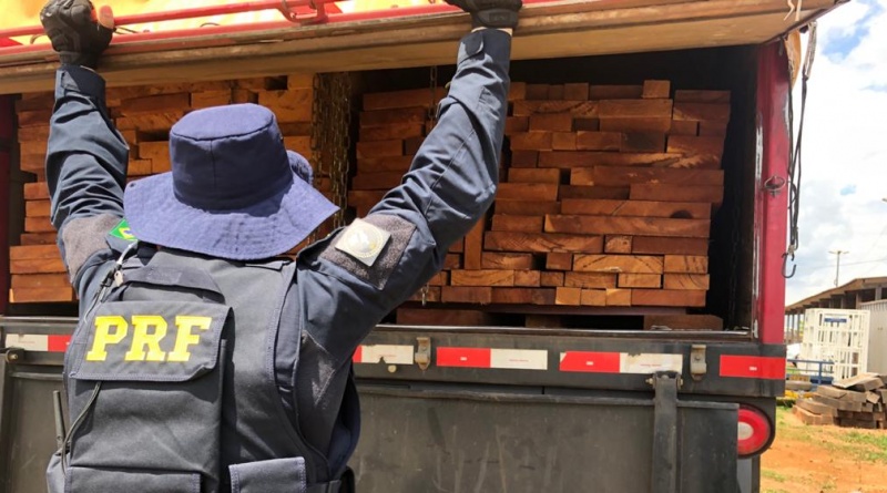PRF identifica transporte irregular de madeira em Porto Velho - News Rondônia