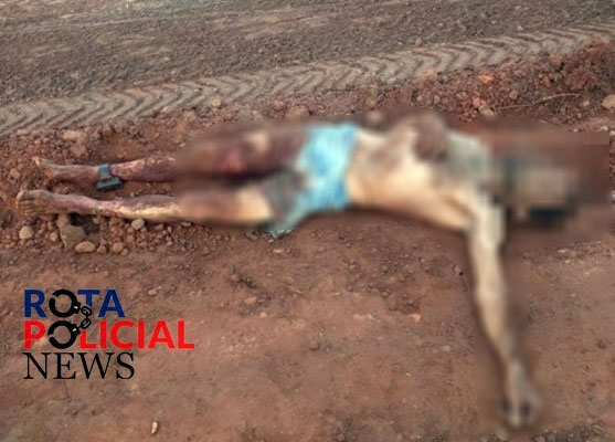 URGENTE - Corpo de apenado é encontrado com sinais de violência na BR-364 - News Rondônia