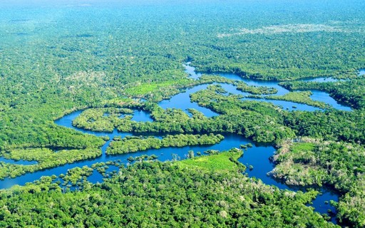 Primeiro edital socioambiental de Furnas vai distribuir R$ 1 milhão - News Rondônia