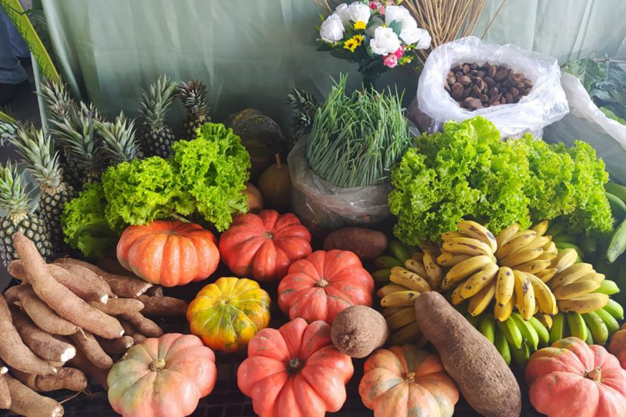 Mais de R$ 1,7 milhão são destinados para aquisição de alimentos de produtores da agricultura familiar em Rondônia - News Rondônia