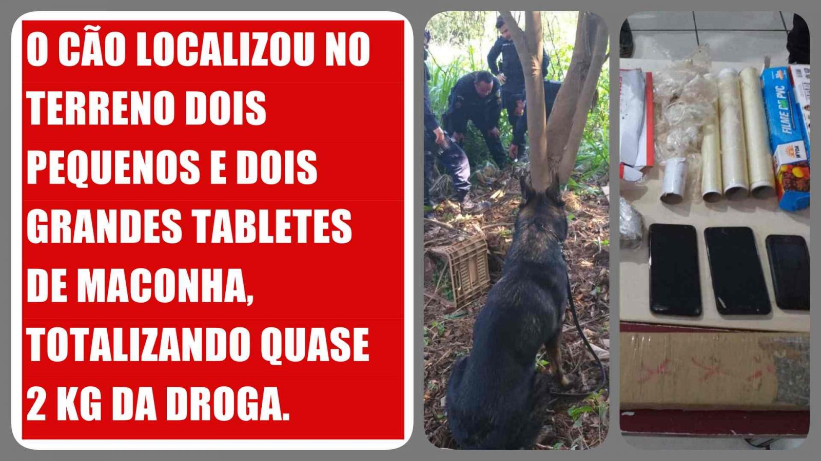 Oito pessoas são presas com quase 02 kg de maconha no bairro Nacional - News Rondônia