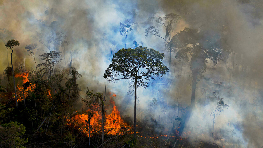 Em apenas 13 dias, INPE registrou 42 km2 de desmatamento em Candeias do Jamari - News Rondônia