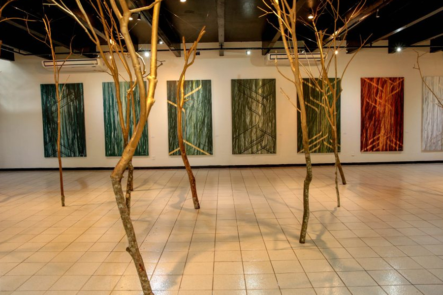 Casa da Cultura Ivan Marrocos recebe exposição 'Amazônia Líquida e a Efêmera Cidade' - News Rondônia