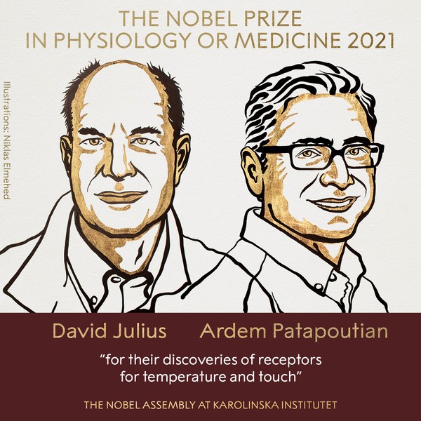 Nobel de Medicina 2021 vai para David Julius e Ardem Patapoutian por descobertas sobre temperatura e toque - News Rondônia