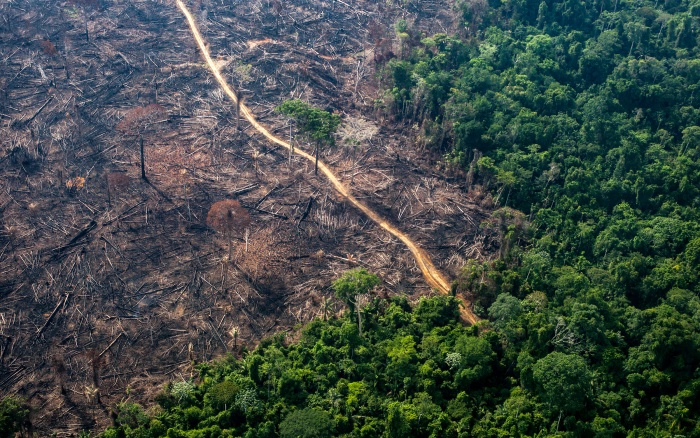Ministério Público cria Força-Tarefa para intensificar a prevenção e combate aos desmatamentos e queimadas em Rondônia - News Rondônia