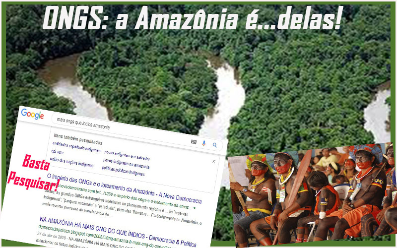 FALTAM ÍNDIOS NA AMAZÔNIA: ELES SÃO EM NÚMERO MENOR DO QUE AS ONGS QUE EXISTEM PARA PROTEGÊ-LOS - News Rondônia