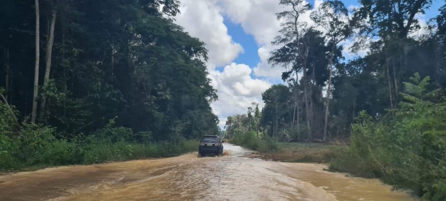 DER vai executar serviços em 40 quilômetros da linha 106; serviço vai garantir acesso aos produtores rurais de Cujubim - News Rondônia