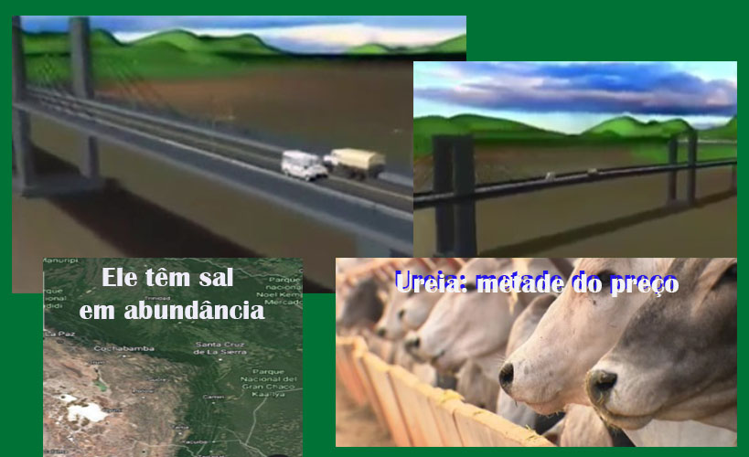 O ideal seria construir duas pontes: uma em Guajará Mirim e outra em Costa Marques. Será sonhar demais? - News Rondônia