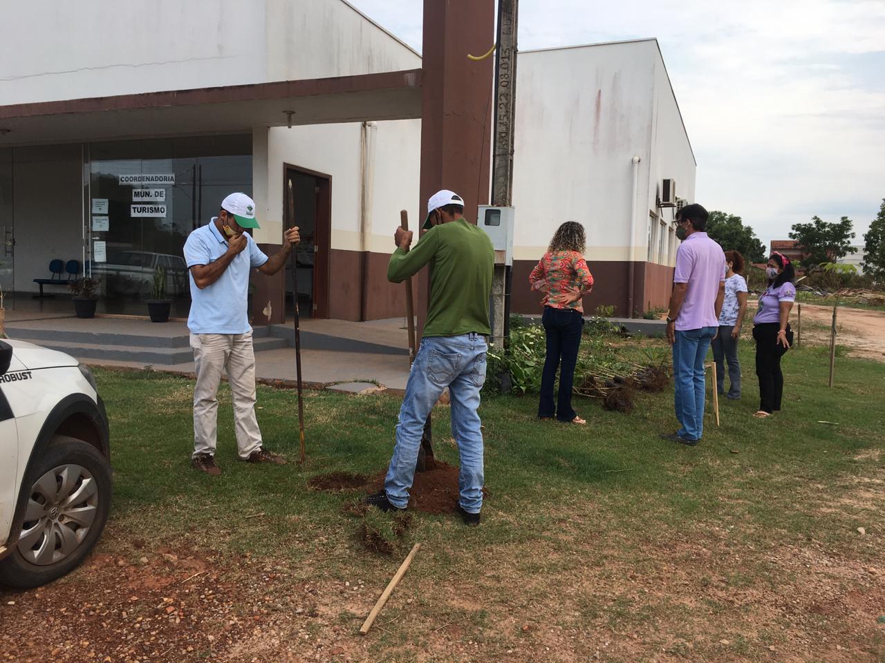 Rolim de Moura: Coordenadoria de Turismo promove mutirão de plantio de árvores - News Rondônia
