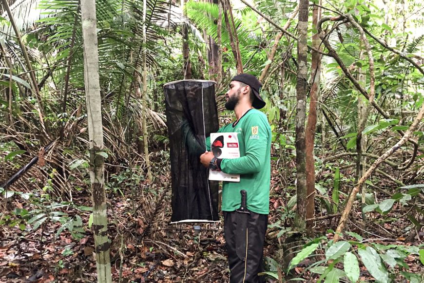 Biodiversidade do Parque Estadual de Guajará-Mirim é monitorada; ação envolve comunidade tradicional - News Rondônia
