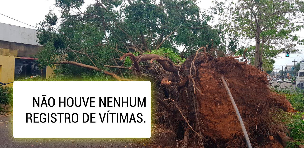 Chuva forte com rajadas de vento derruba árvores e danifica estrutura de Posto de Gasolina (Vídeo) - News Rondônia