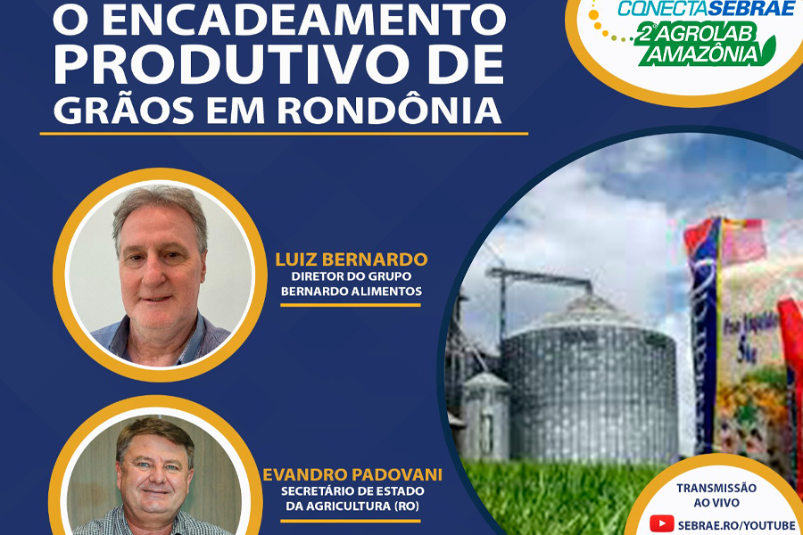 Encadeamento produtivo em torno do mercado de grãos será debatido em evento online - News Rondônia