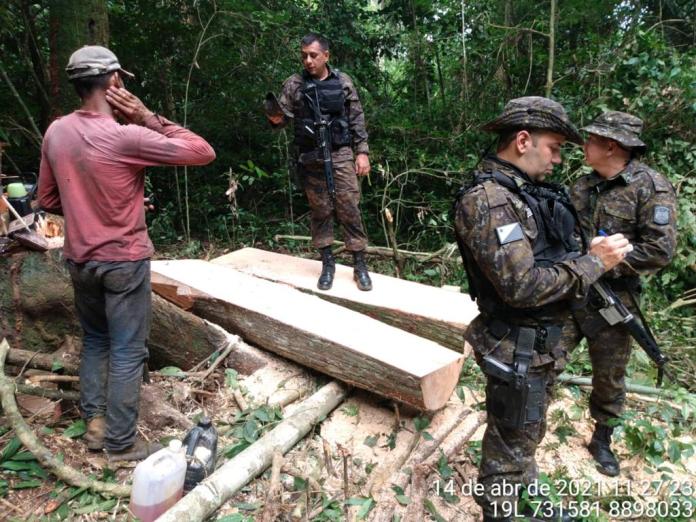 Multa no valor de R$ 30 mil e envolvidos de Rondônia presos suspeitos no furto de madeira - News Rondônia