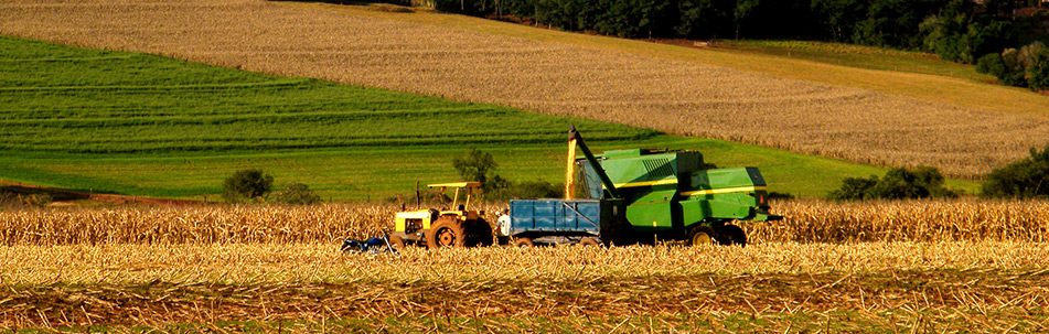 COLUNA CAMPO E LAVOURA: AGRONEGÓCIO EM EXPANSÃO - News Rondônia