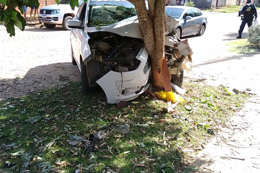 Motorista perde o controle, colide contra árvore e foge - News Rondônia
