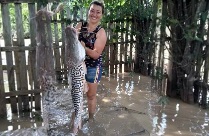 Mulher acha peixe de 12 quilos e 1,10 metro no quintal de casa atingida por cheia no Acre - News Rondônia