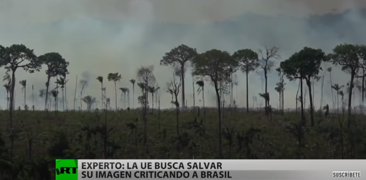 Desmatamento na Amazônia bate novo recorde e vira destaque na TV da Espanha com participação de professor da Unir - News Rondônia