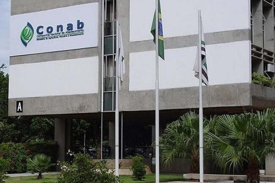 Boletim AgroConab: algodão tem mercado global aquecido - News Rondônia