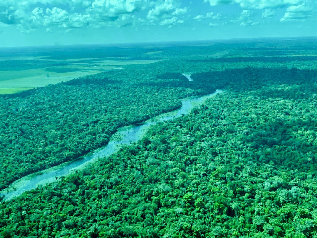 Ações de combate ao desmatamento são realizadas em Ariquemes - News Rondônia