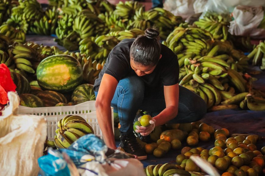 PAA RONDÔNIA - Governo destina mais de R$ 700 mil para compra de alimentos da agricultura familiar em Rondônia - News Rondônia