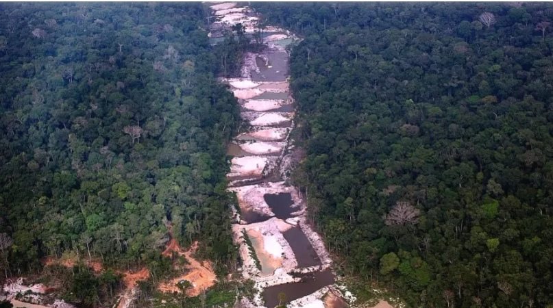 Desmatamento: Amazônia tem novo recorde acompanhado da falta de ações do governo Bolsonaro - News Rondônia