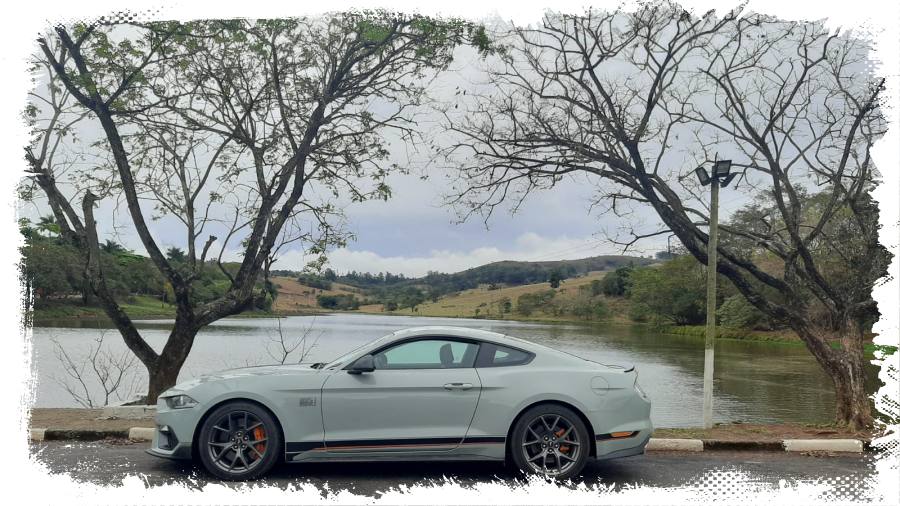 Ford Mustang Mach 1 é puro prazer e emoção [vídeo] - News Rondônia
