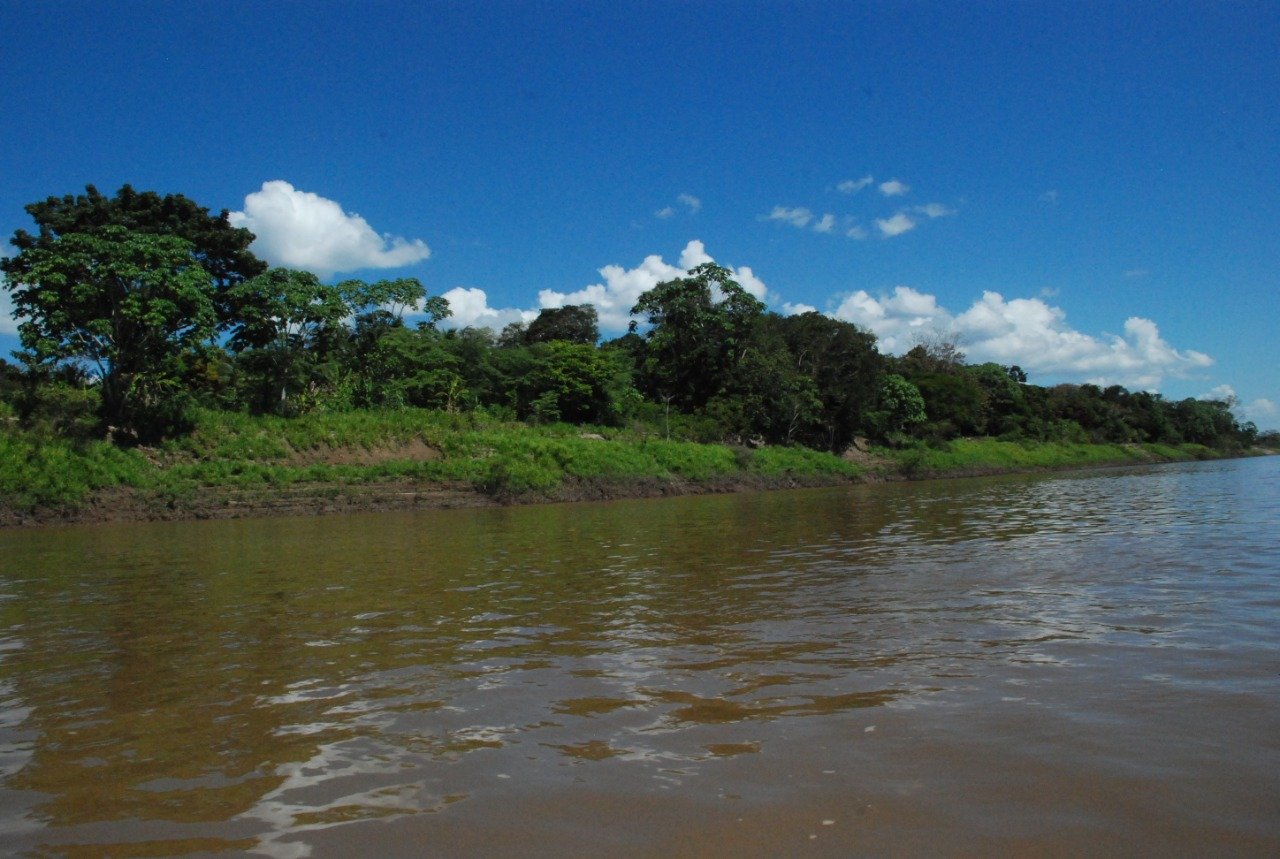 Prefeitura celebra Semana do Meio Ambiente com programação virtual e presencial - News Rondônia