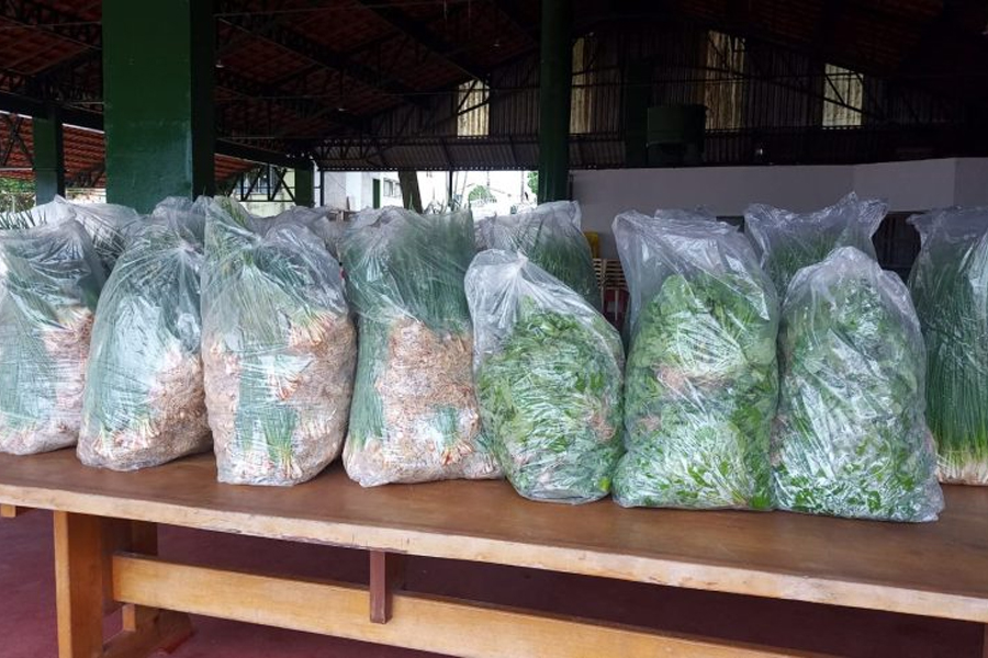 Produtores rurais iniciam entregas de produtos alimentícios para a segunda etapa do Programa Estadual de Aquisição de Alimento - News Rondônia