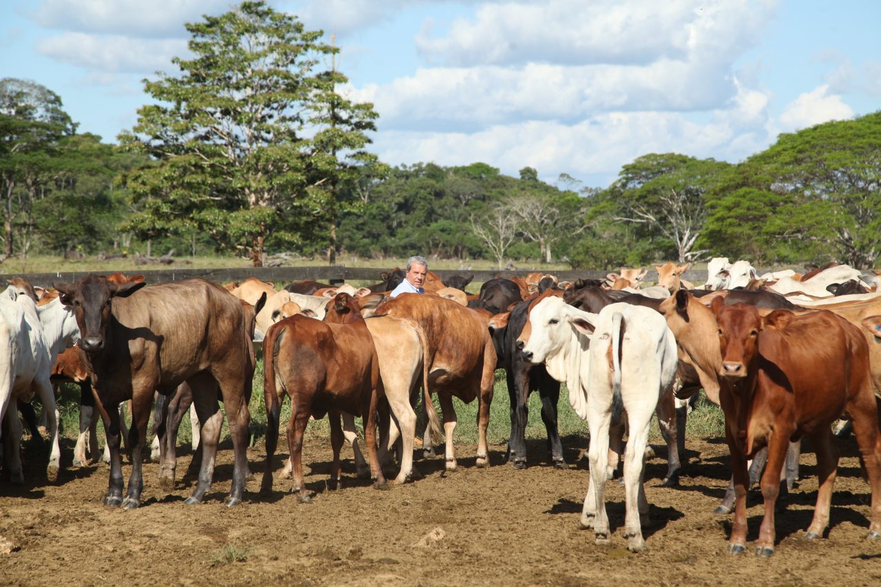 O DESENVOLVIMENTO DO AGRONEGÓCIO NA REGIÃO NORTE DE RONDÔNIA É UMA REALIDADE - News Rondônia