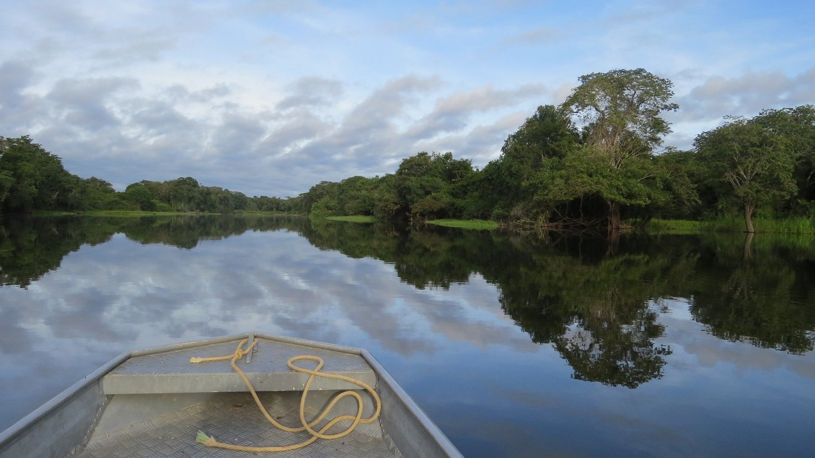 Dia da Amazônia: estudo da Febraban reforça a preocupação do brasileiro com a preservação - News Rondônia